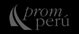 Desarrollo Global - Empresa 1